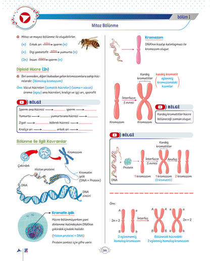 Biosem - TYT Biyoloji VİDEO DERS Kitabı - Paraf Z Takımı